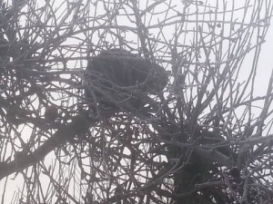 20160108_082053
