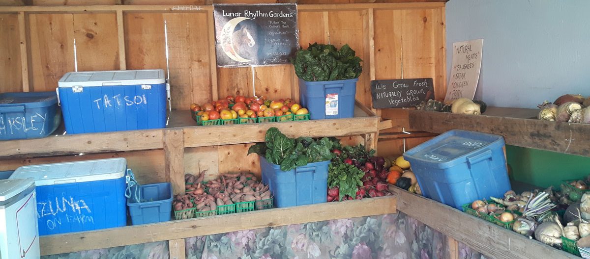 Farm Pick Up Room