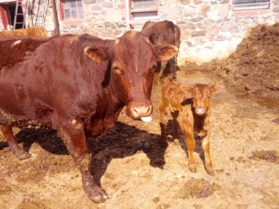Patty and mother