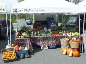 SA400302 Our booth at the Lakefield Farmers Market
