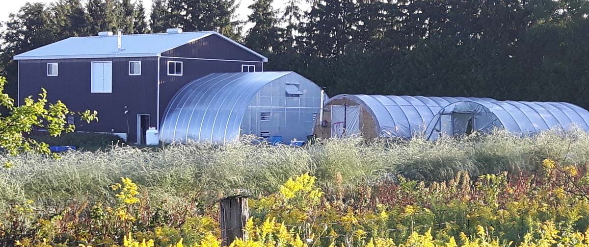 Lunar Rhythm Farm