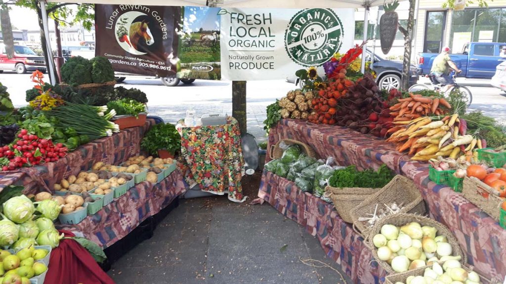 Farmer's Markets